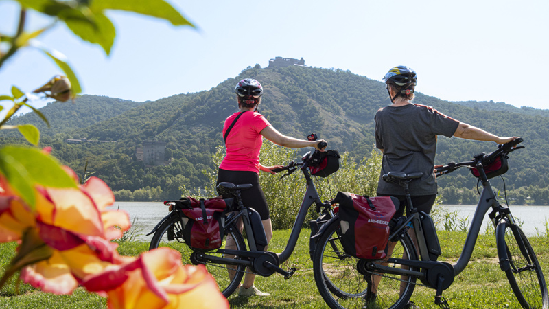 Reiseåret 2026 - der hjertet bestemmer ruten